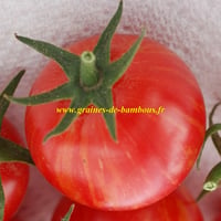 Artisan pink bumble bee tomato seeds