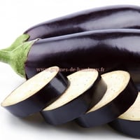 Aubergine coupe en tranches