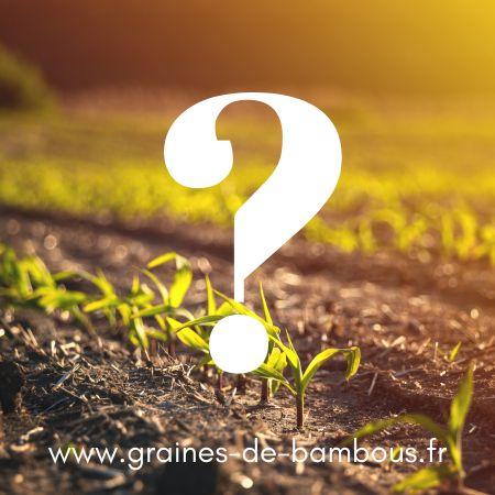 Calendrier semis recolte legumes