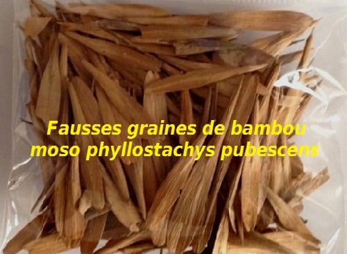 Arnaque aux graines