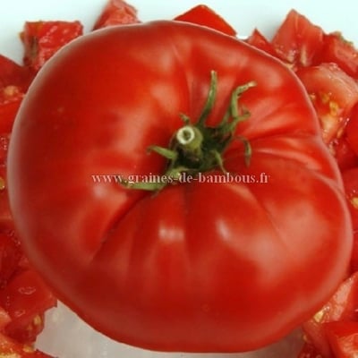 Graines de tomate watermelon beefsteak