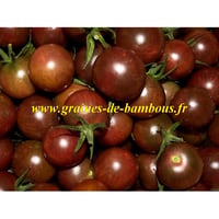 Graines tomate noire black cherry