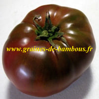Graines tomate noire graines de bambous eu