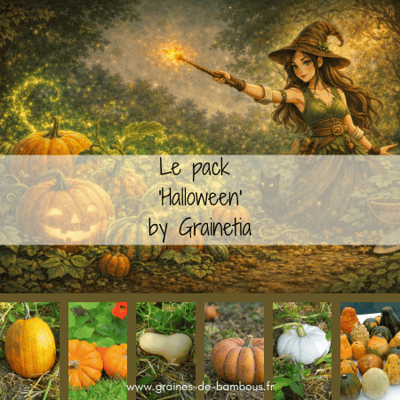 Pack halloween by grainetia 450 x 450 px 1