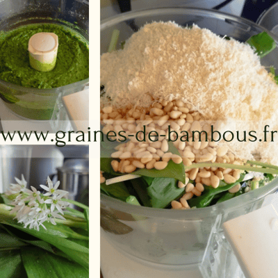 Pesto ail des ours maison graines de bambous 1