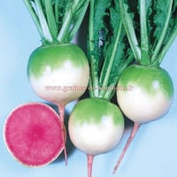 Radis red meat