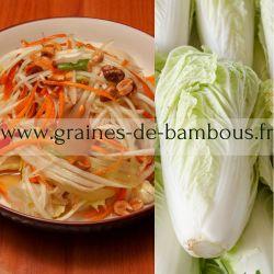 Salade asiatique croquante