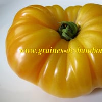 Semences de tomate ananas