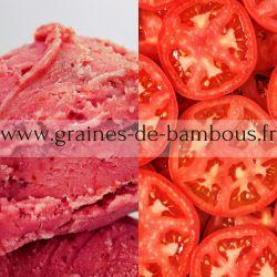 Sorbet tomate