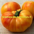 Tomate big rainbow graines