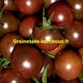 Tomate black cherry graines de bambous eu