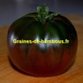 Tomate black russian graines de bambous eu