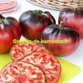 Tomate indigo blue beauty graines non traitees