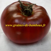 Tomate noire graines de bambous eu