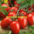Tomate roma graines de bambous eu
