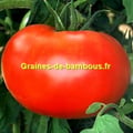 Tomate watermelon beefsteak variete ancienne graines